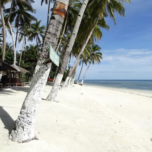 Affordable Comfort and Serenity MidRange Hotels in Bohol