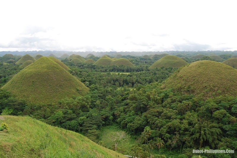 Did You Know About The Chocolate Hills Of The Philippines