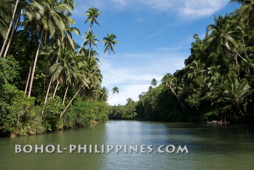 loboc river cruise