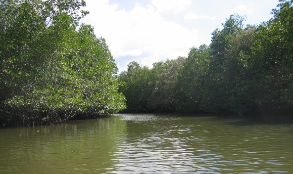 Loboc River