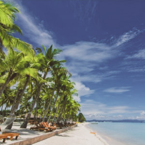 cebu bohol day trip