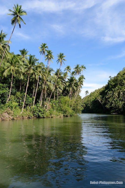 Loboc River Cruise